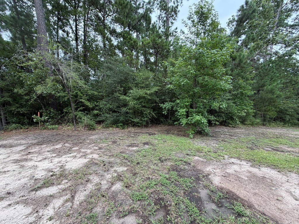 Picture 6