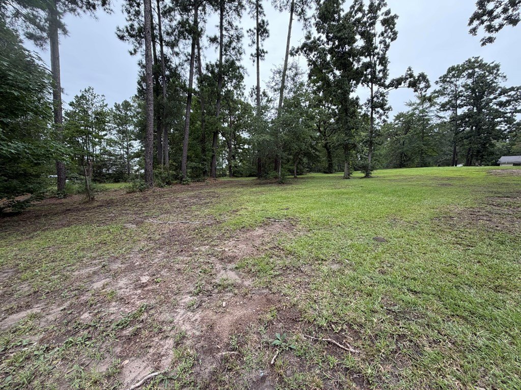 Picture 21