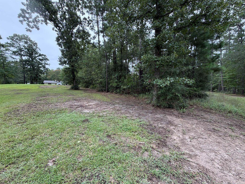 Picture 19