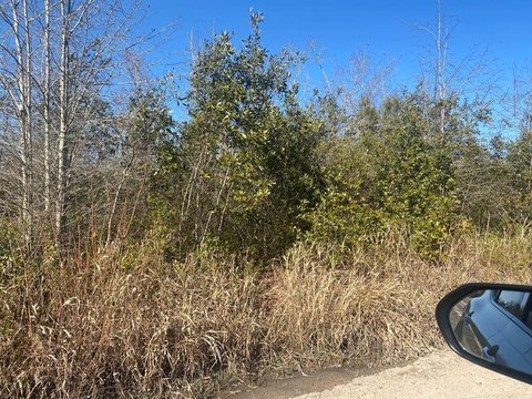 20.17 Acres of Land, Adel