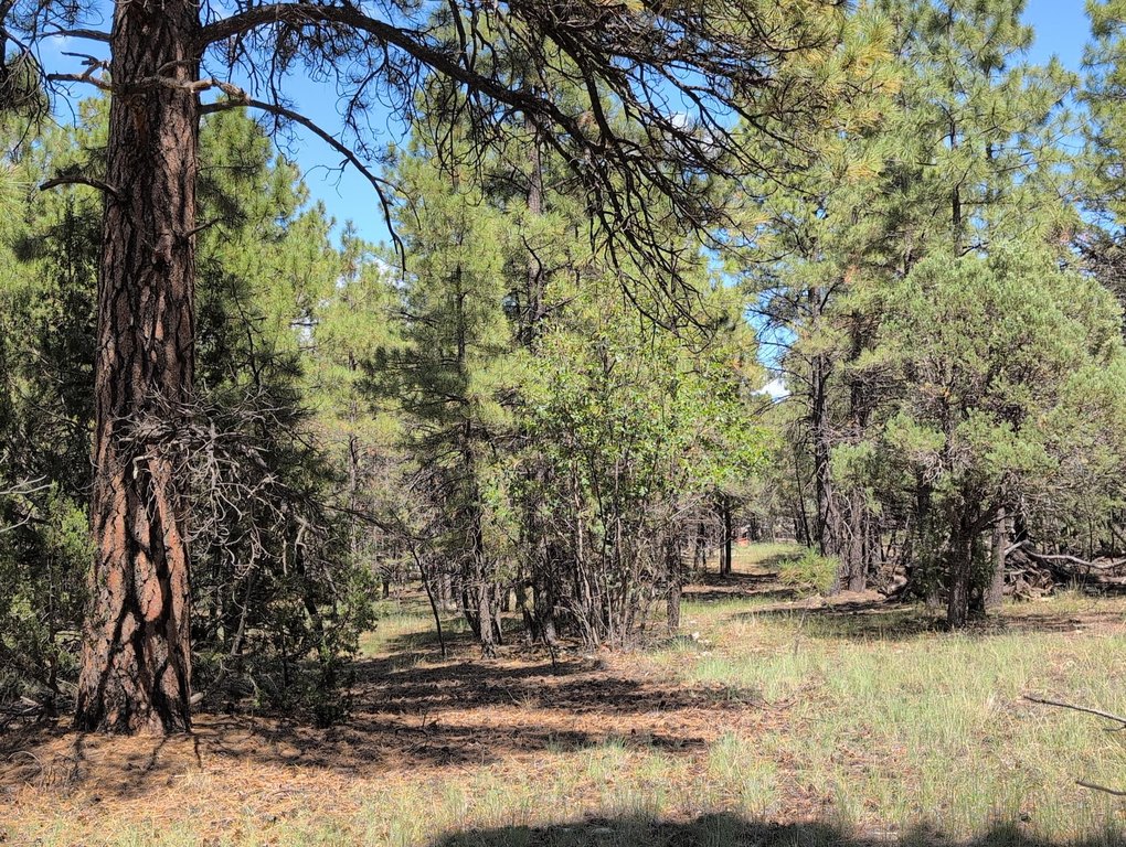 Picture 21