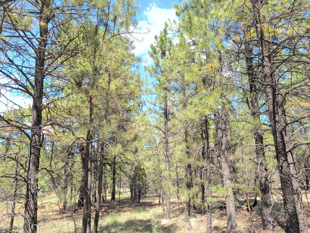 Picture 16