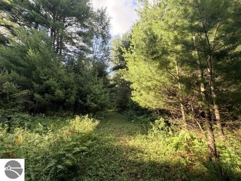 LAND - Tawas City, MI