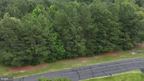 Wooded Lot Near Indian River