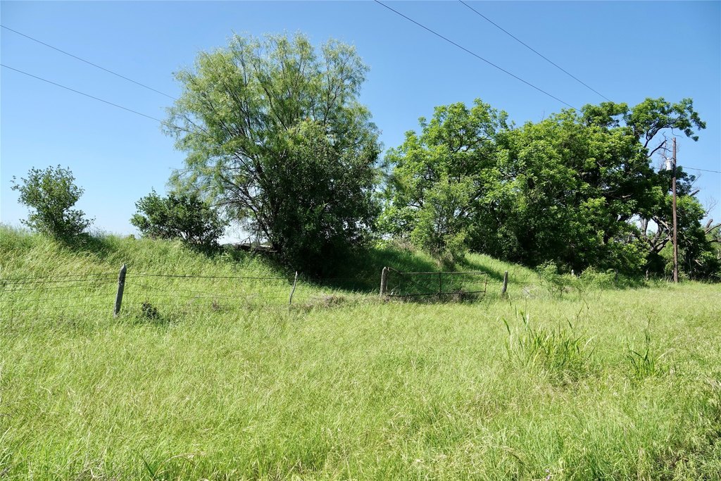 Picture 24