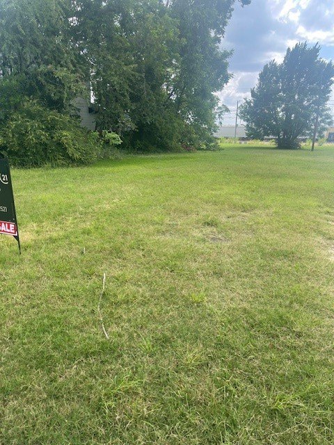 Picture 5