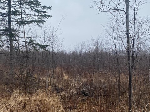 20 Acres of Land, Ogema