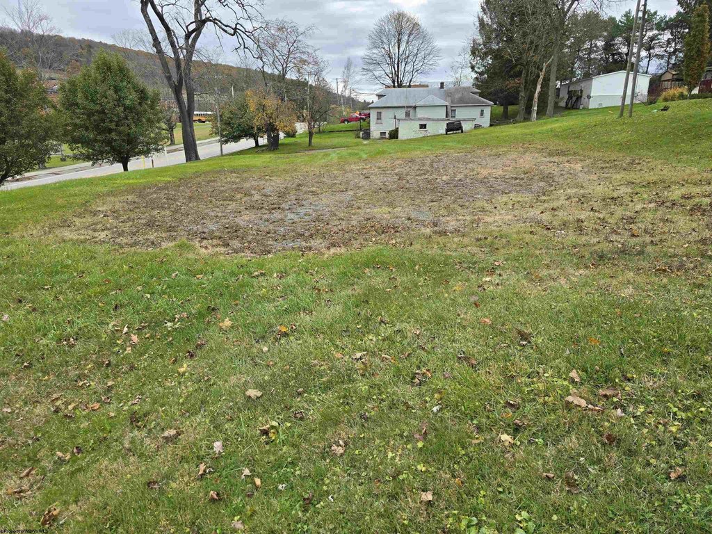 Picture 5
