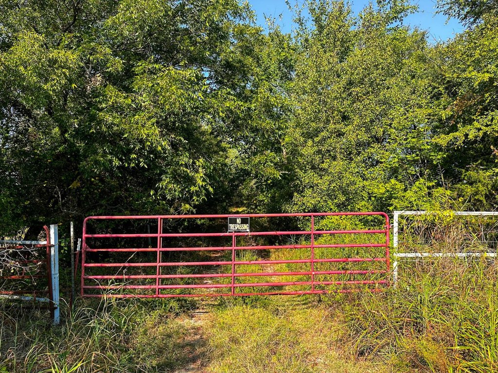 Picture 18