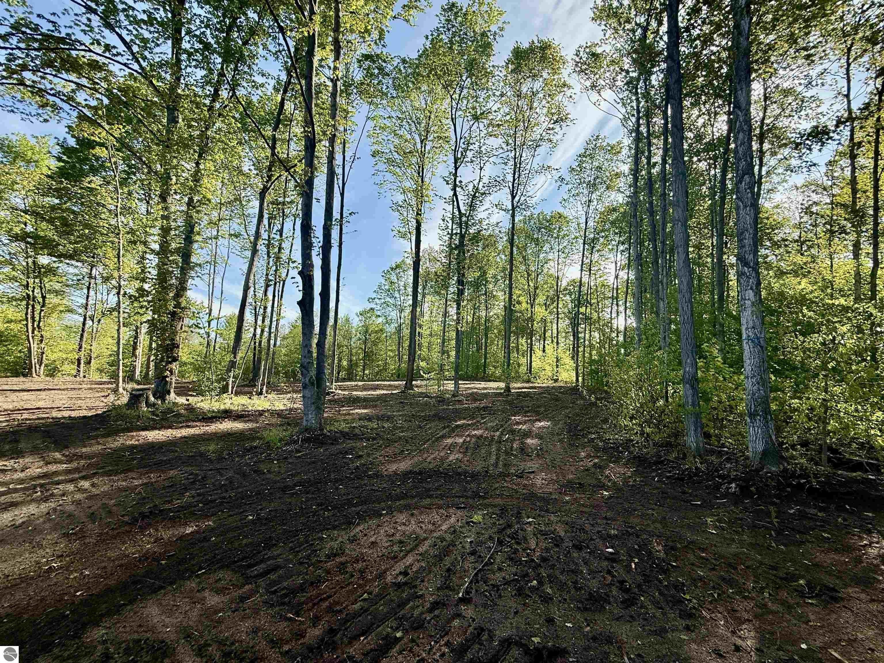 Secluded Land in Maple City