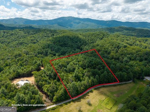 LAND - Mccaysville, GA