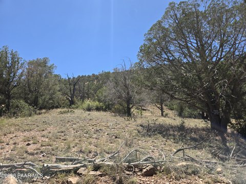 LAND - Ash Fork, AZ