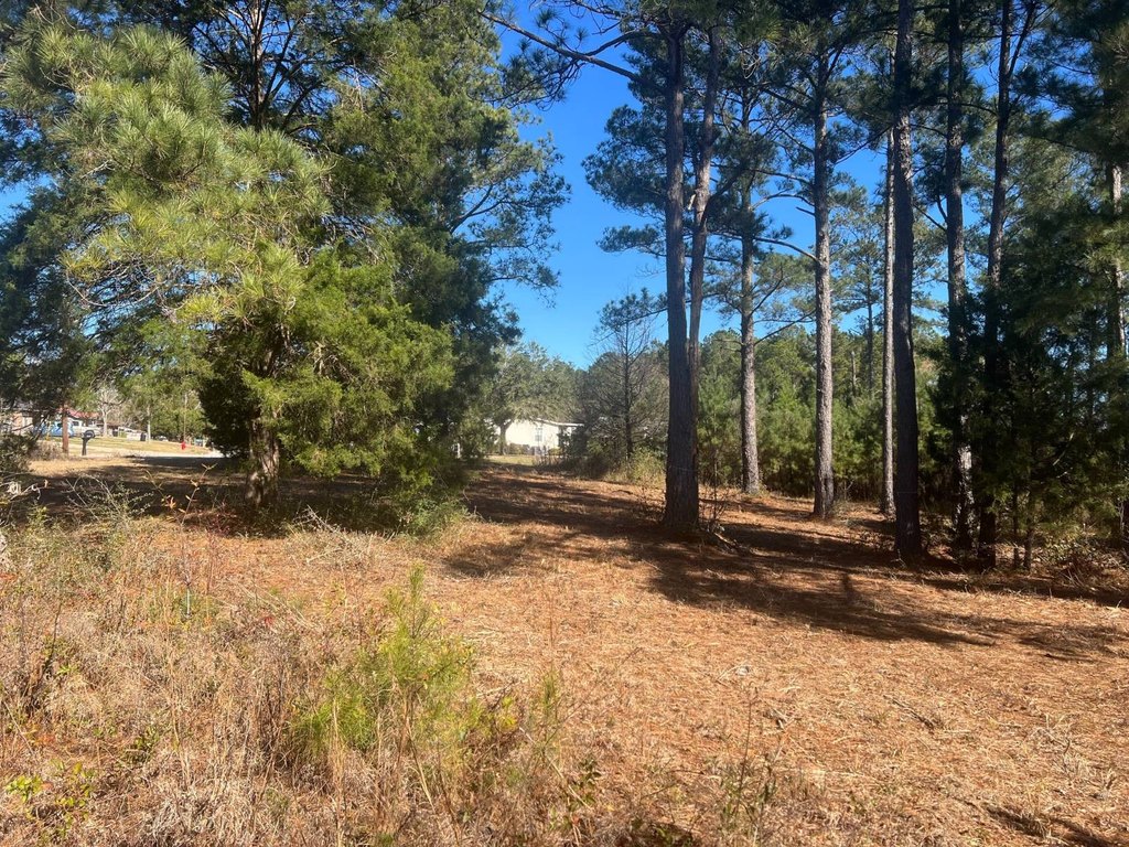 Picture 6