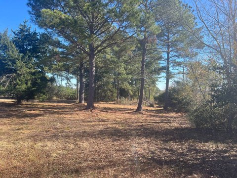 LAND - Bonifay, FL