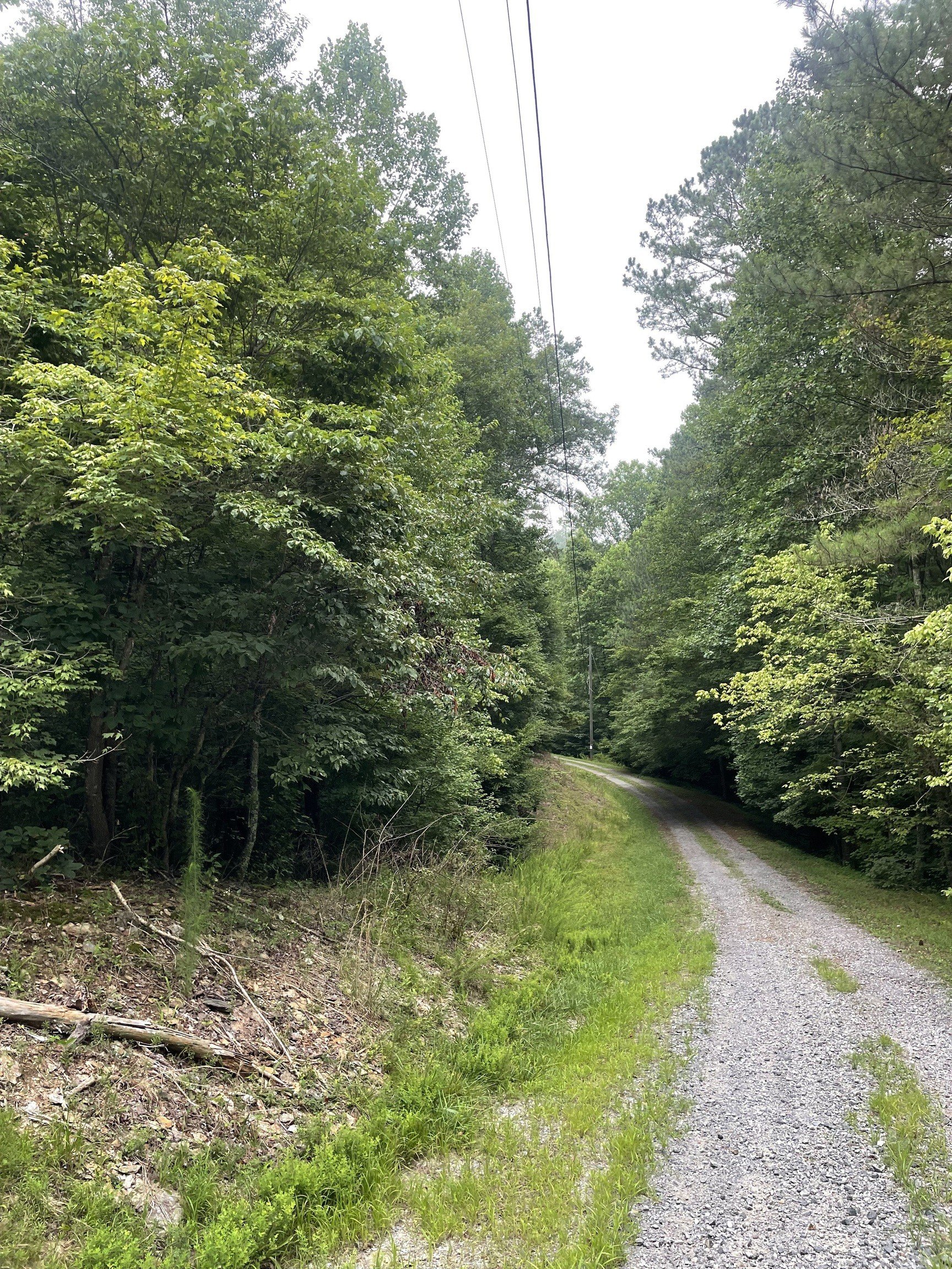 Ranger, GA Land For Sale