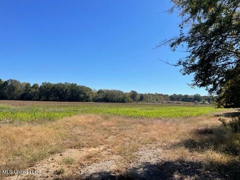 Agricultural Land Near Highway 305