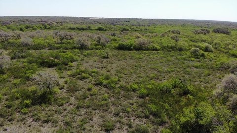 Secluded Acreage in Tuleta, Texas