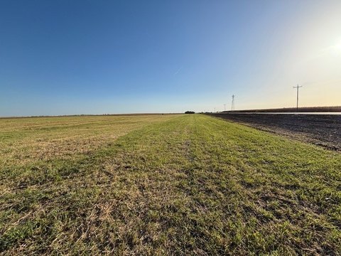 LAND - Covington, TX