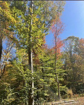 Hampton CT Residential Land