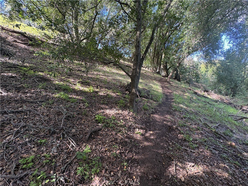 Picture 9
