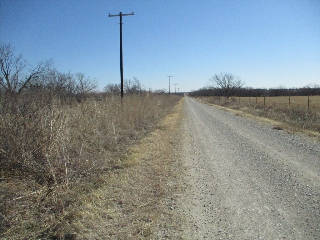 Picture 7
