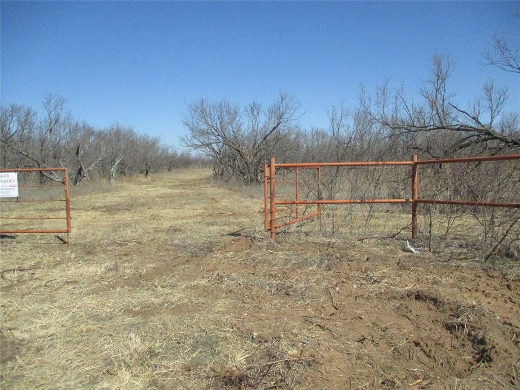 Picture 6