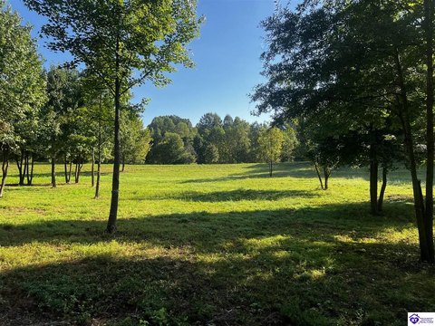 Lots and Land, Burkesville, KY