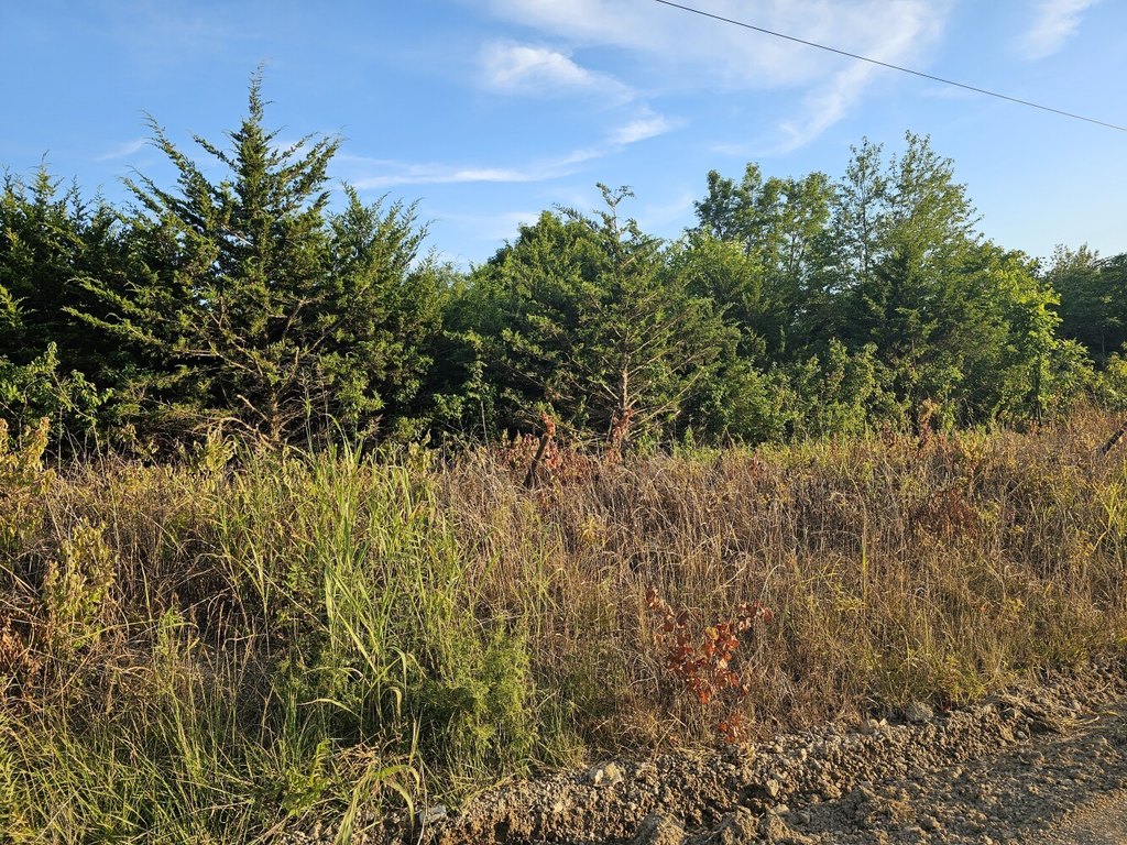 Picture 5