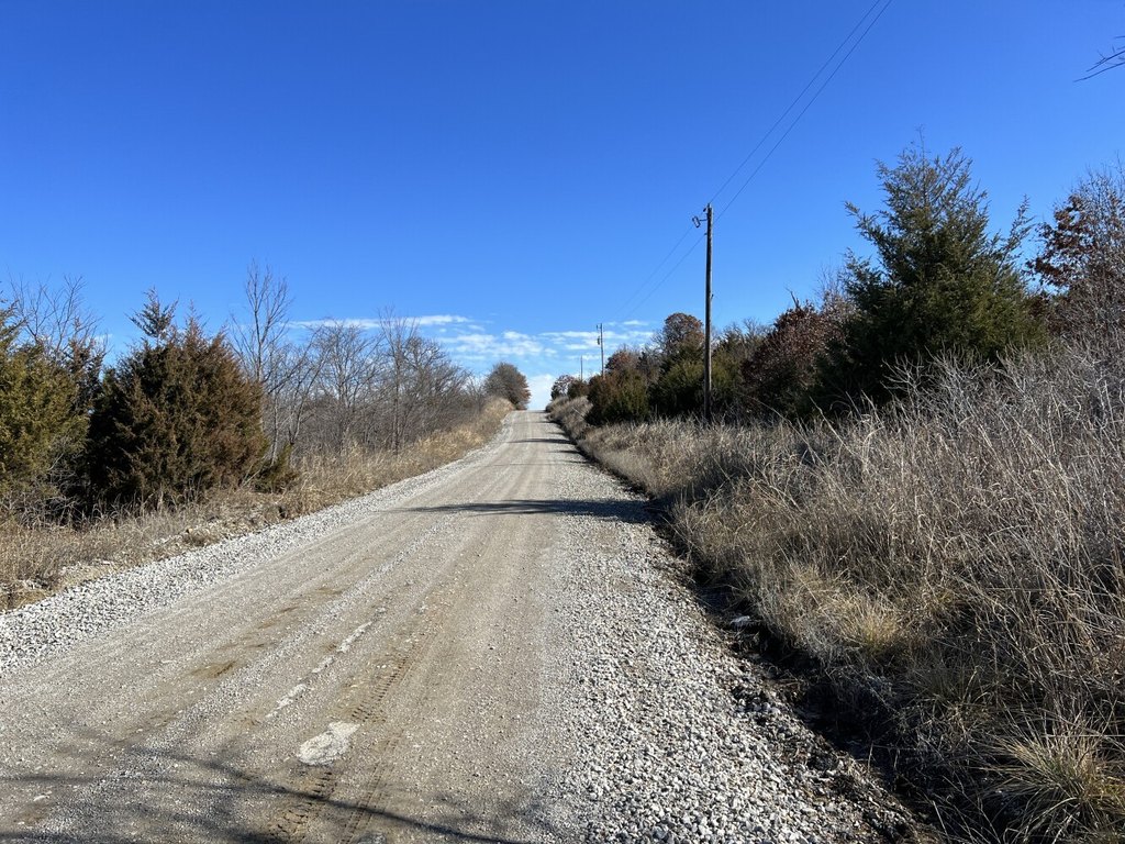 Picture 14