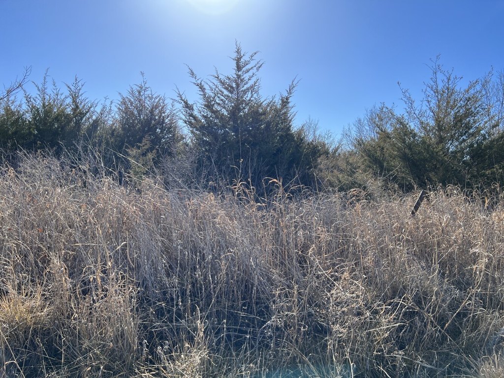 Picture 17