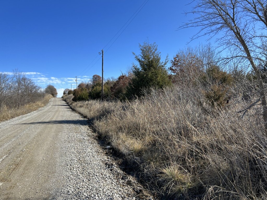 Picture 15