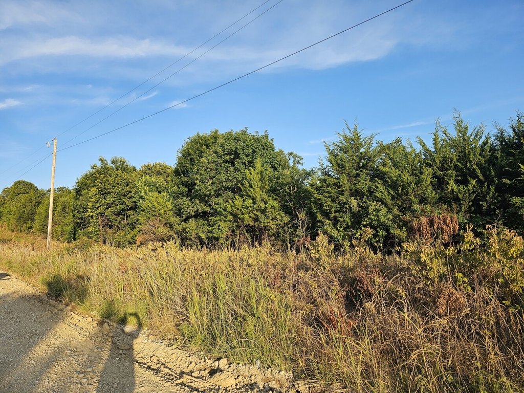 Picture 3