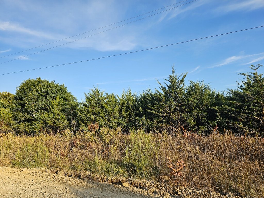 Picture 6