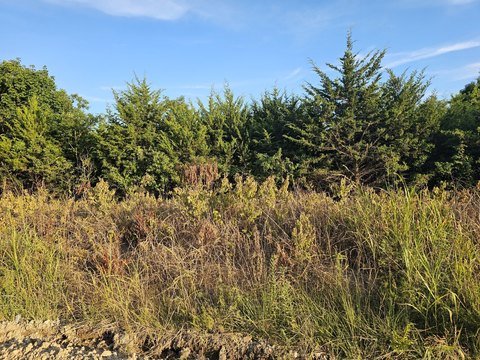 Vacant Land - Terlton, OK