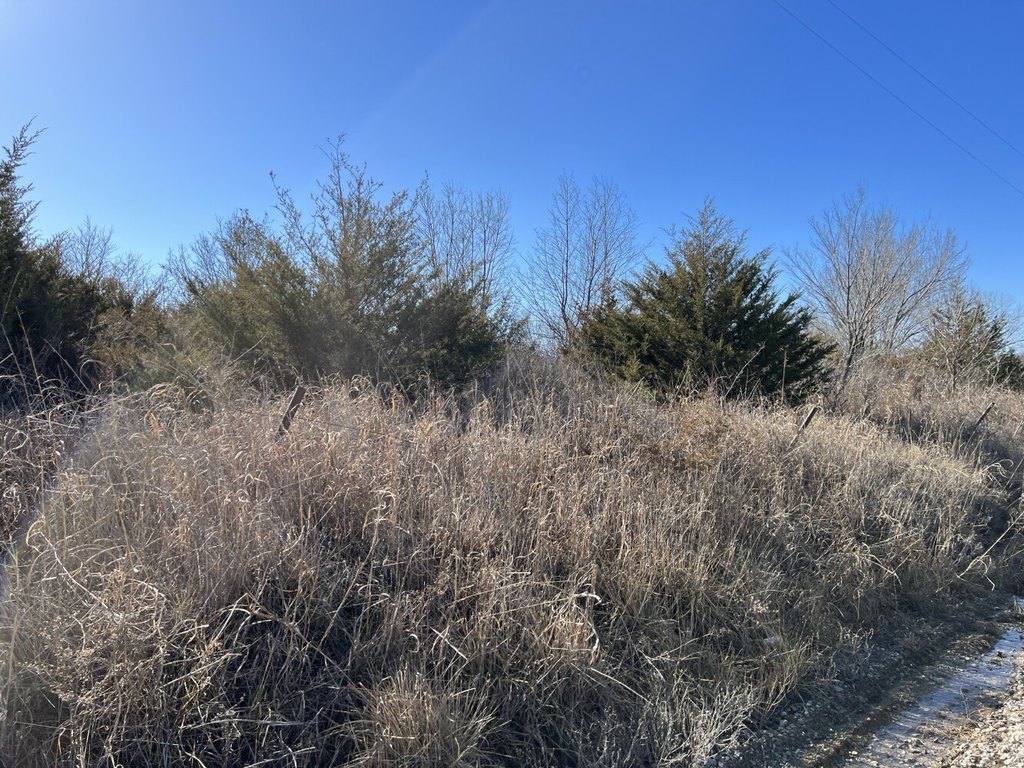 Picture 18