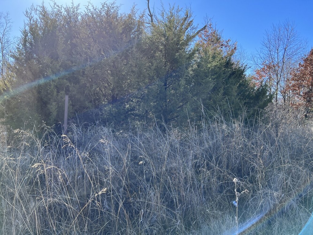 Picture 10