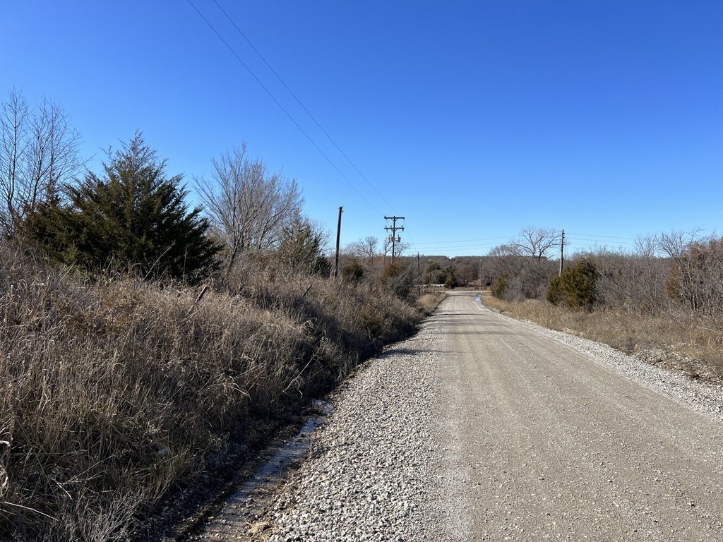 Picture 20