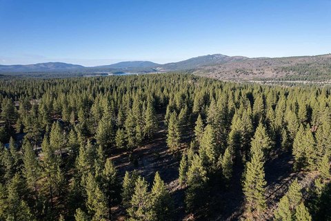 Truckee Land Development Opportunity
