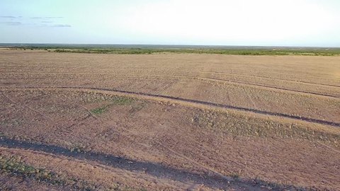 271 Acres in Bronte, TX