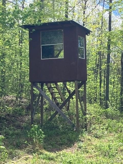 Picture 5