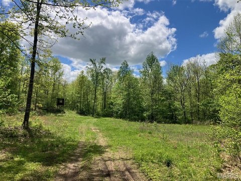 Wooded Hunting and Recreation Land