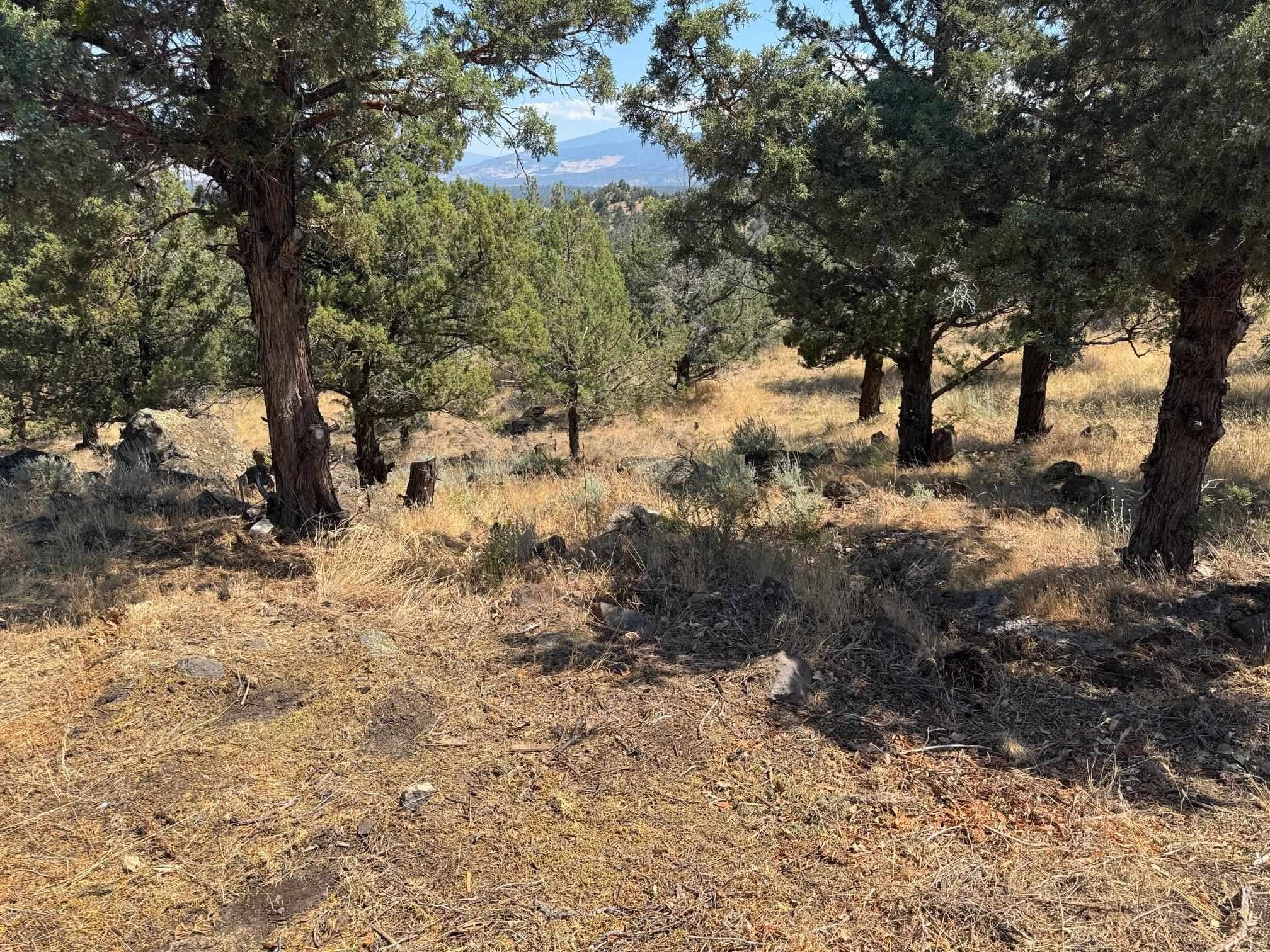 Land with Expansive Views