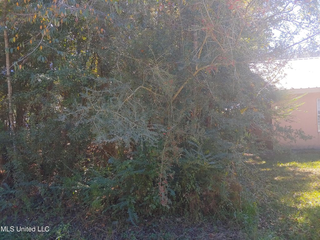 Picture 3