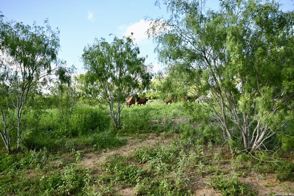 Picture 28