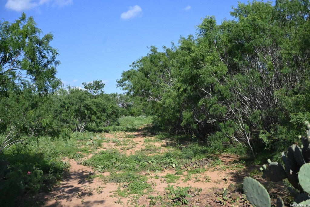 Picture 31
