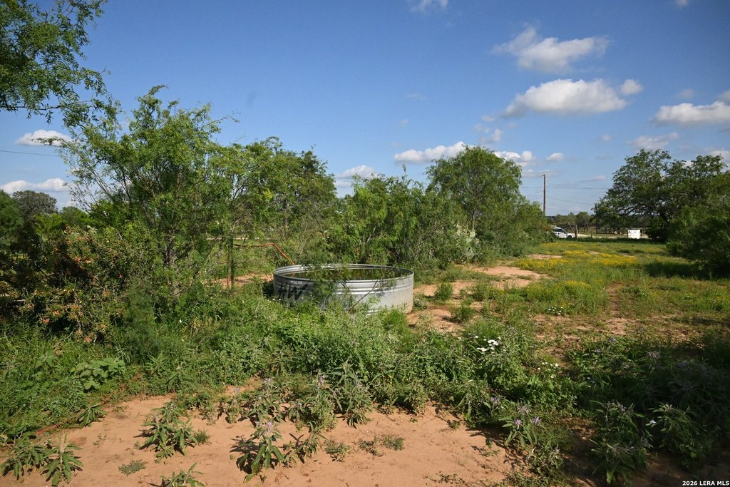 Picture 20