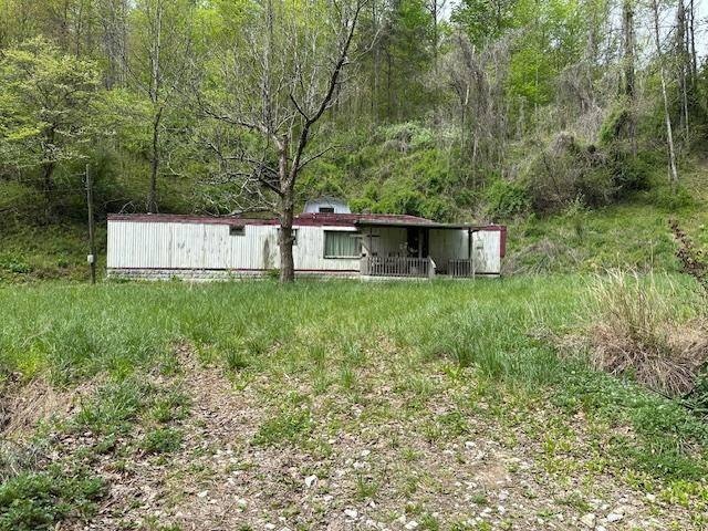 38 Acres of Hunting Land