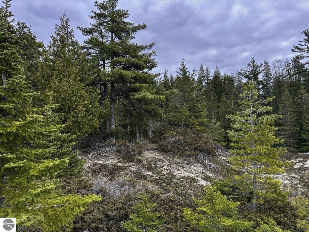 Picture 25