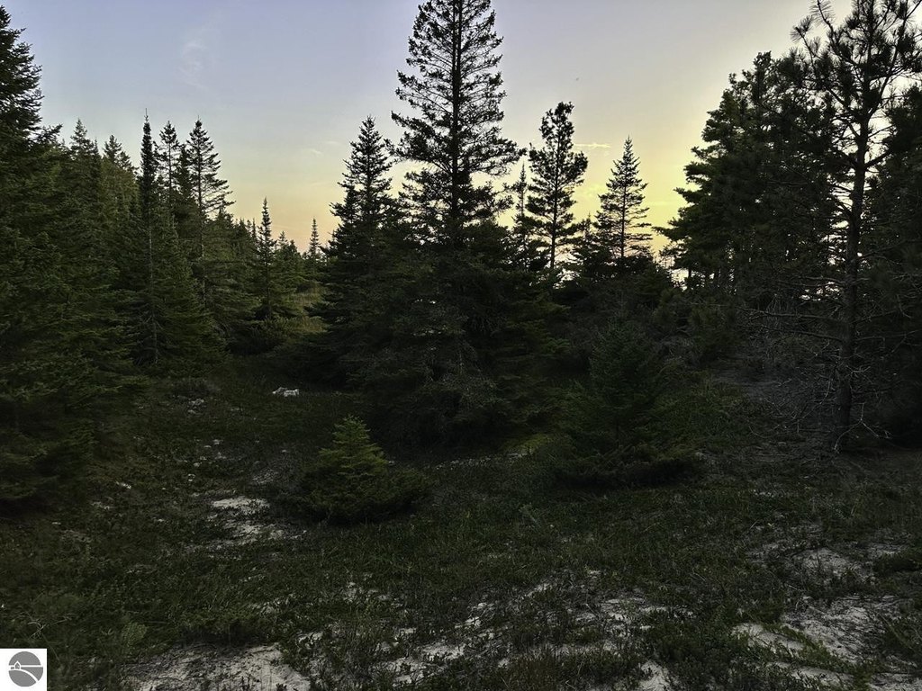 Picture 31
