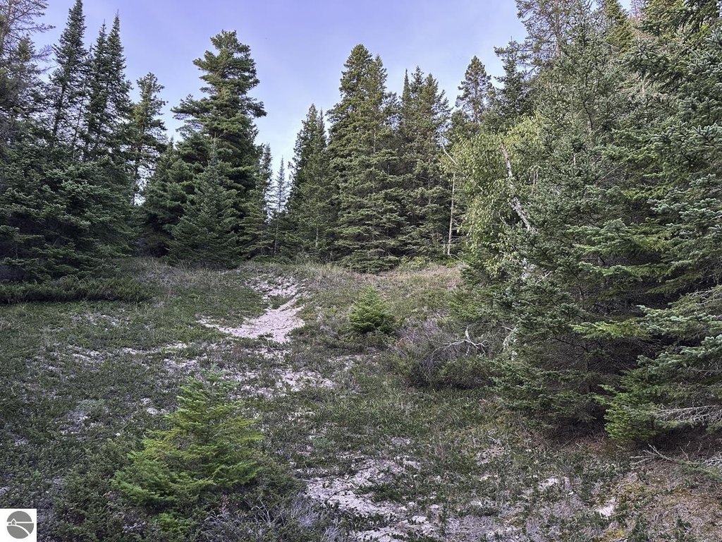 Picture 27